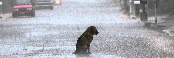 fuzck11 Profile Banner