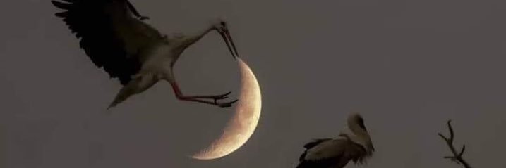 سفيان 🇩🇿 banner