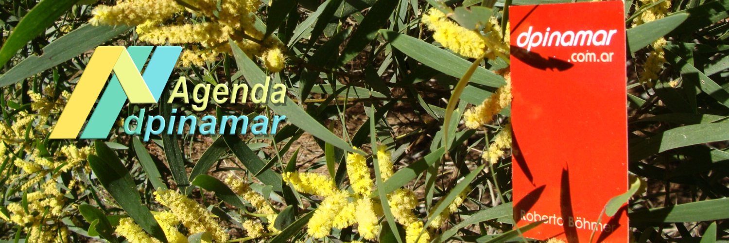 dpinamar's profile banner image