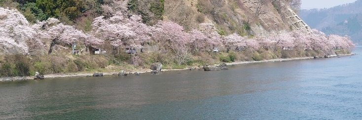 谷口誠(NIKKEI) MakotoTaniguchi banner