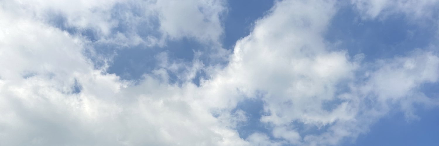 maria banner