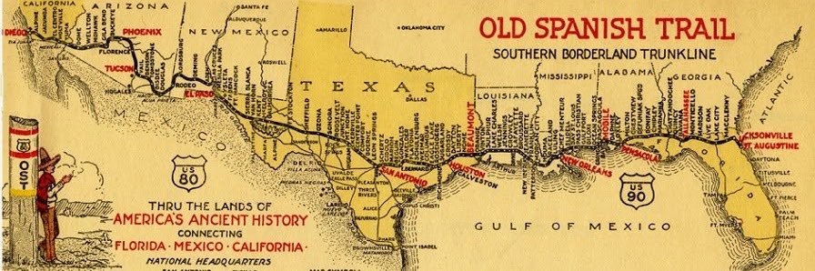 BoB to be wild banner