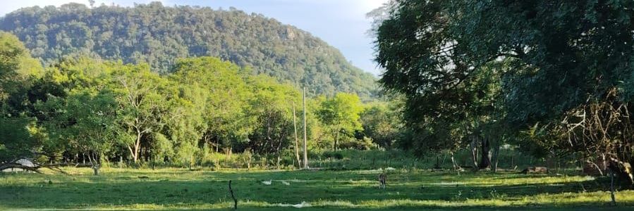 Rubén A. Ruiz banner