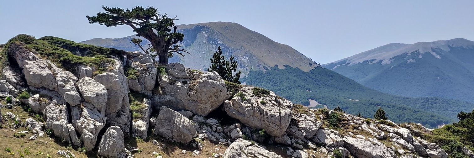 biagiod's profile banner image