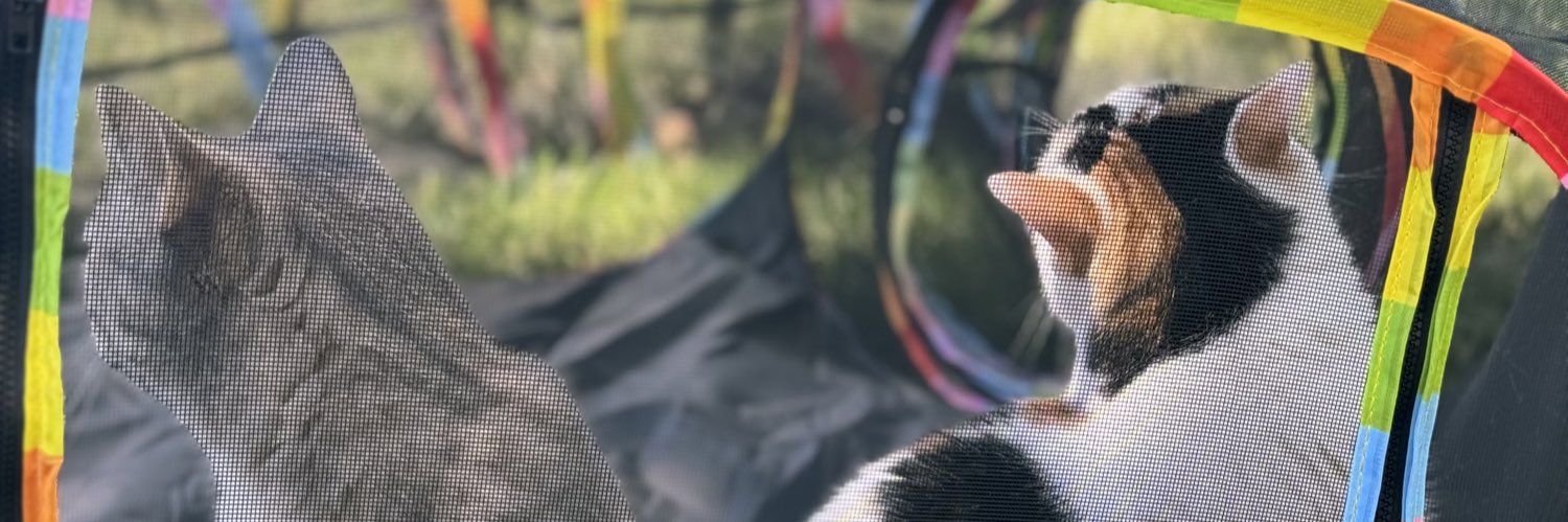 mandyybear's profile banner image