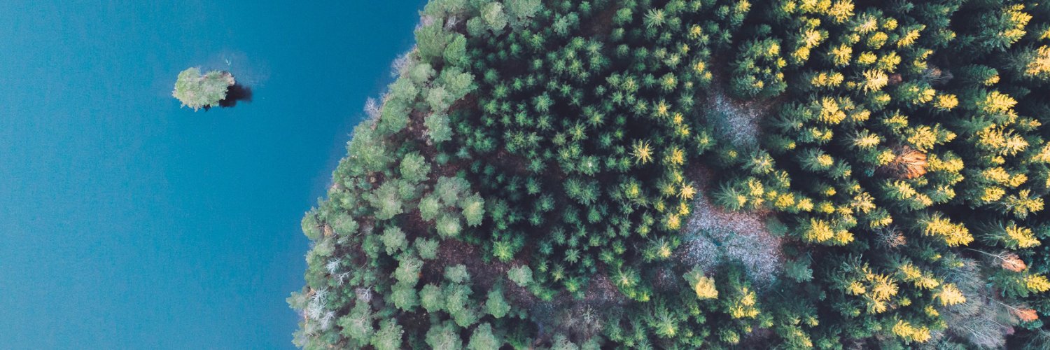 Future of Forestry banner