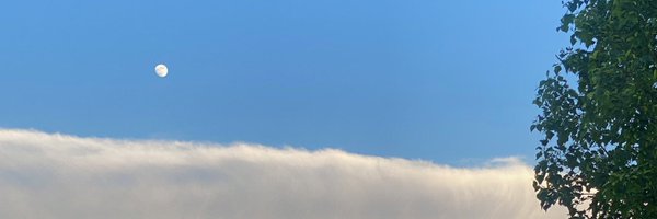 RainbowTangents Profile Banner