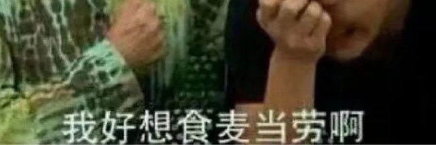 冬青叶's banner