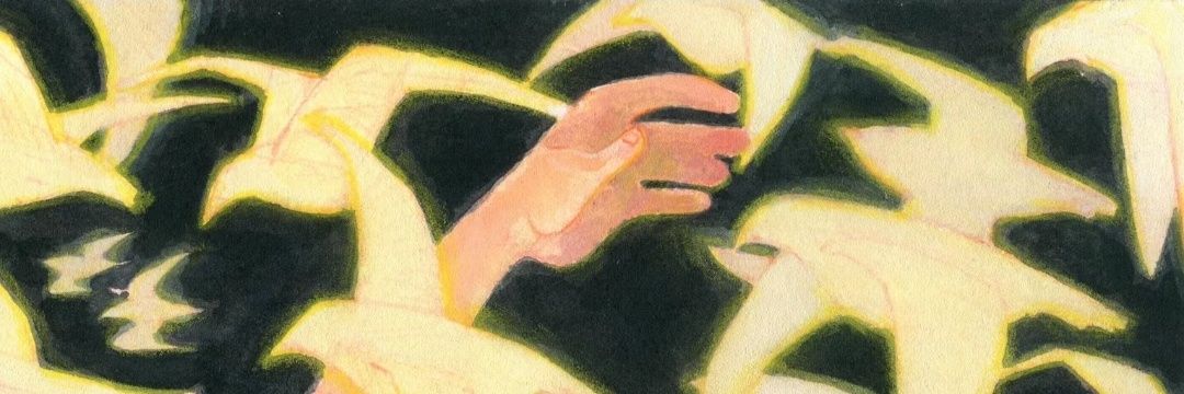 AdaM42988347's profile banner image