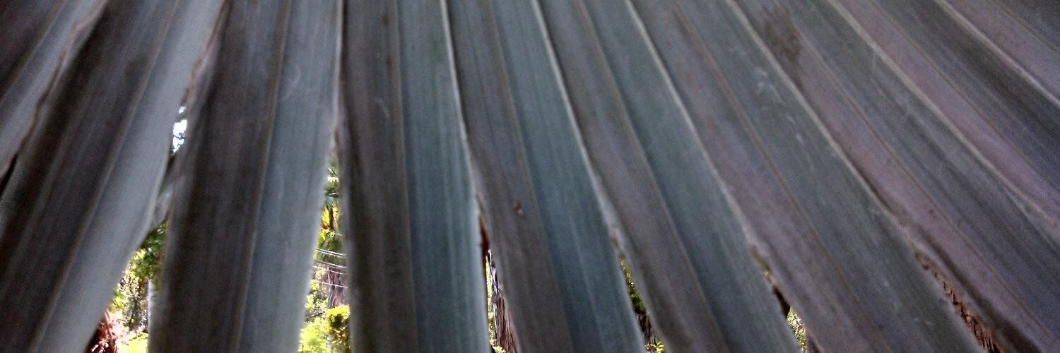 egeorge's profile banner image