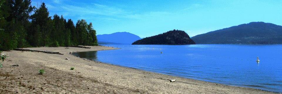 Renee McCloskey banner