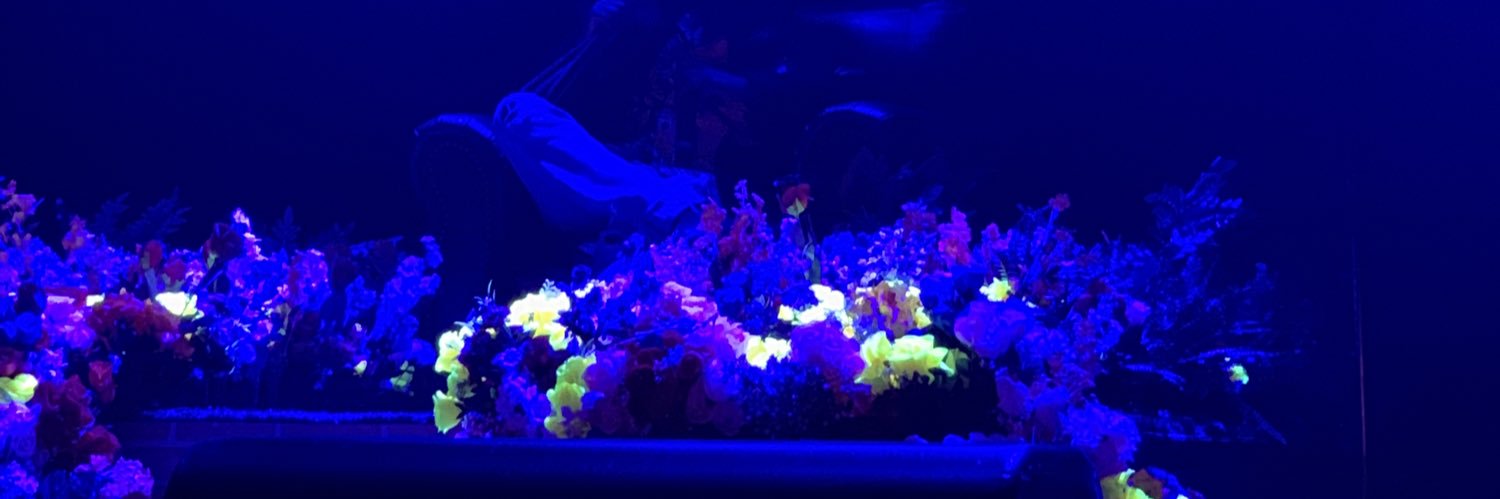 admire_mir's profile banner image
