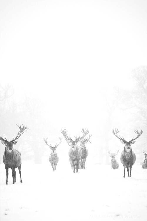 meaCT's profile banner image