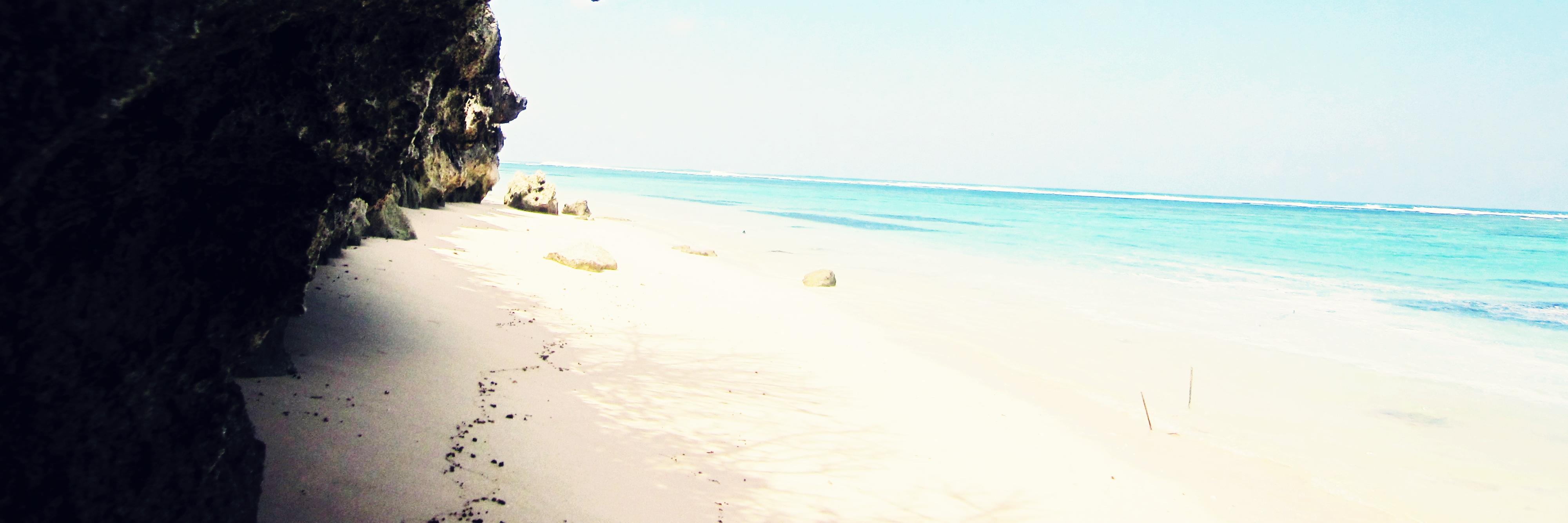 zoestinus's profile banner image