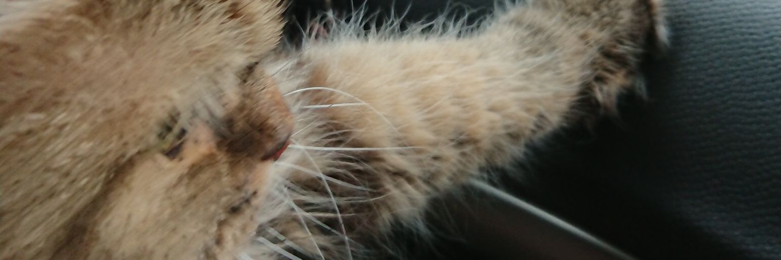 kool0621's profile banner image