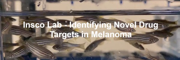 InscoLab Profile Banner