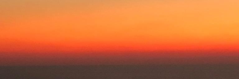 carlatapiro's profile banner image