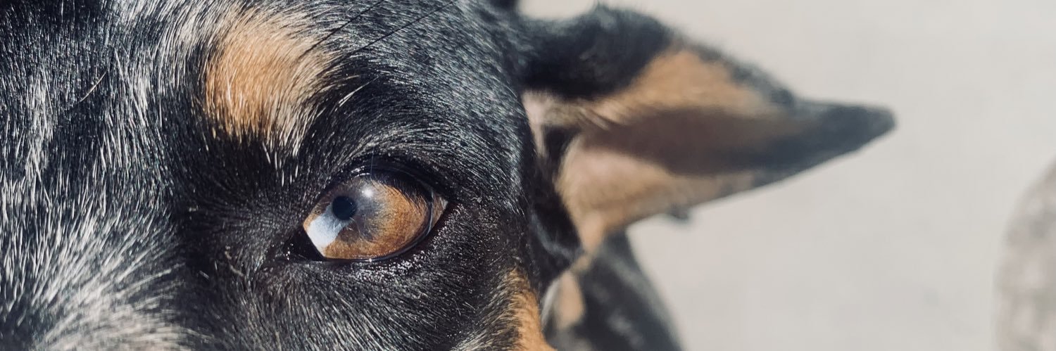 mathiazxs's profile banner image