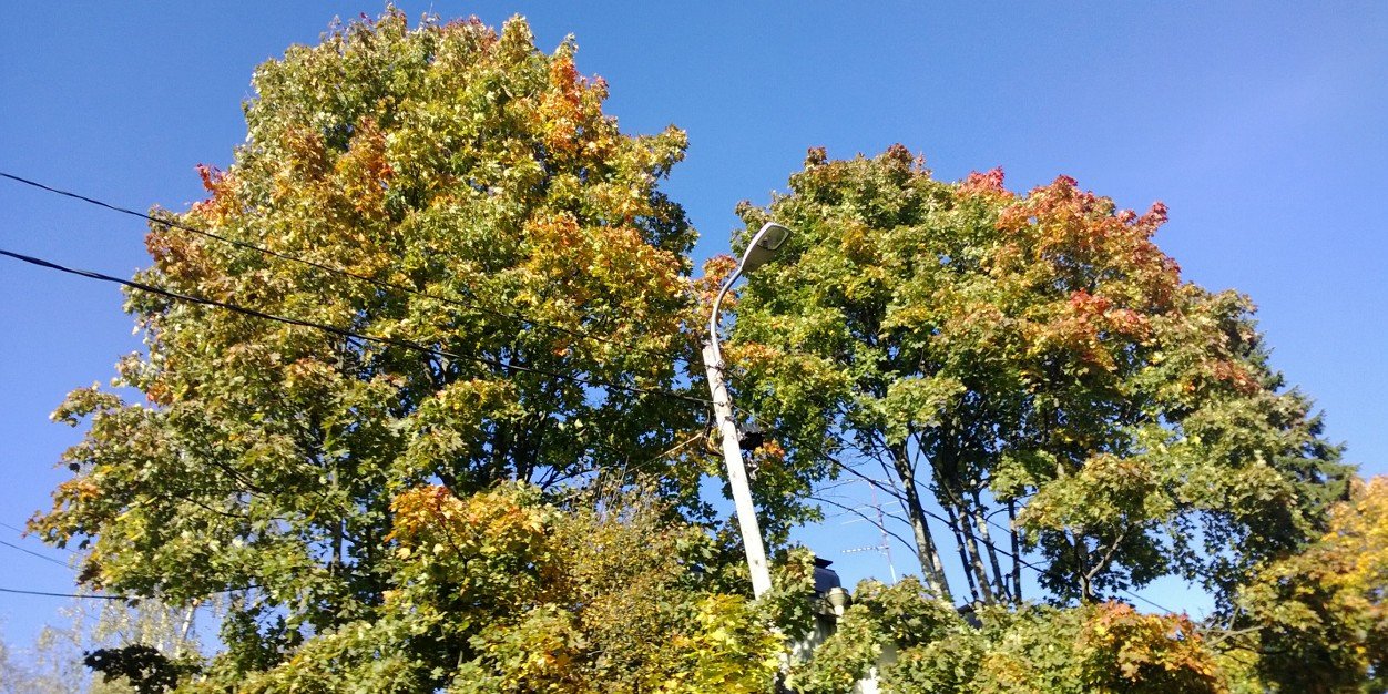 Minna Ala-Outinen banner