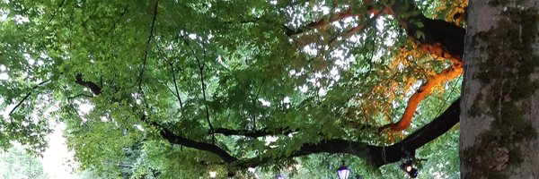 ChardonAnneSo Profile Banner