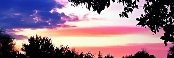 BobMellott Profile Banner