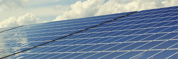 SolarBirchy Profile Banner