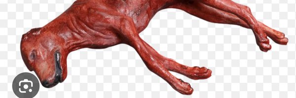 Grey__Gray__ Profile Banner