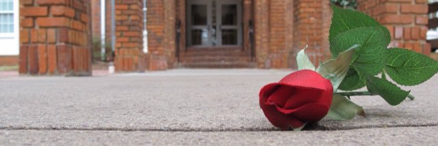 hager_jasmine's profile banner image