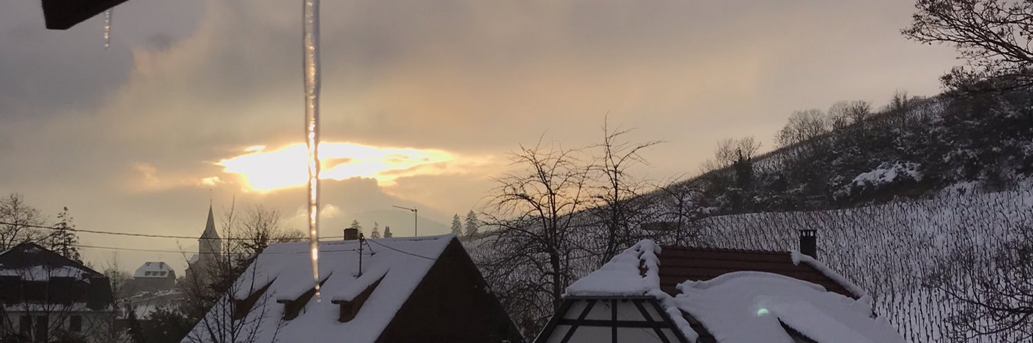alex_heldd's profile banner image
