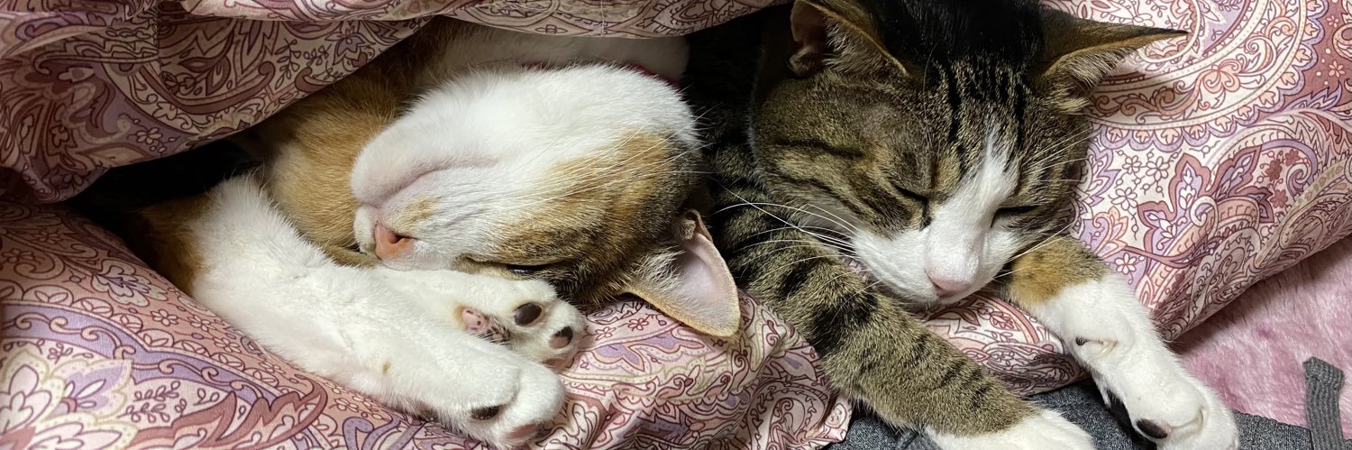 주리☆JURI banner