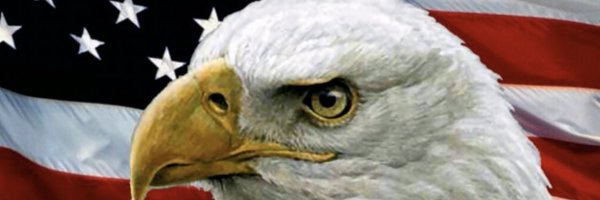 BeSovereign1 Profile Banner