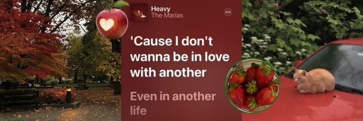 🍒 banner