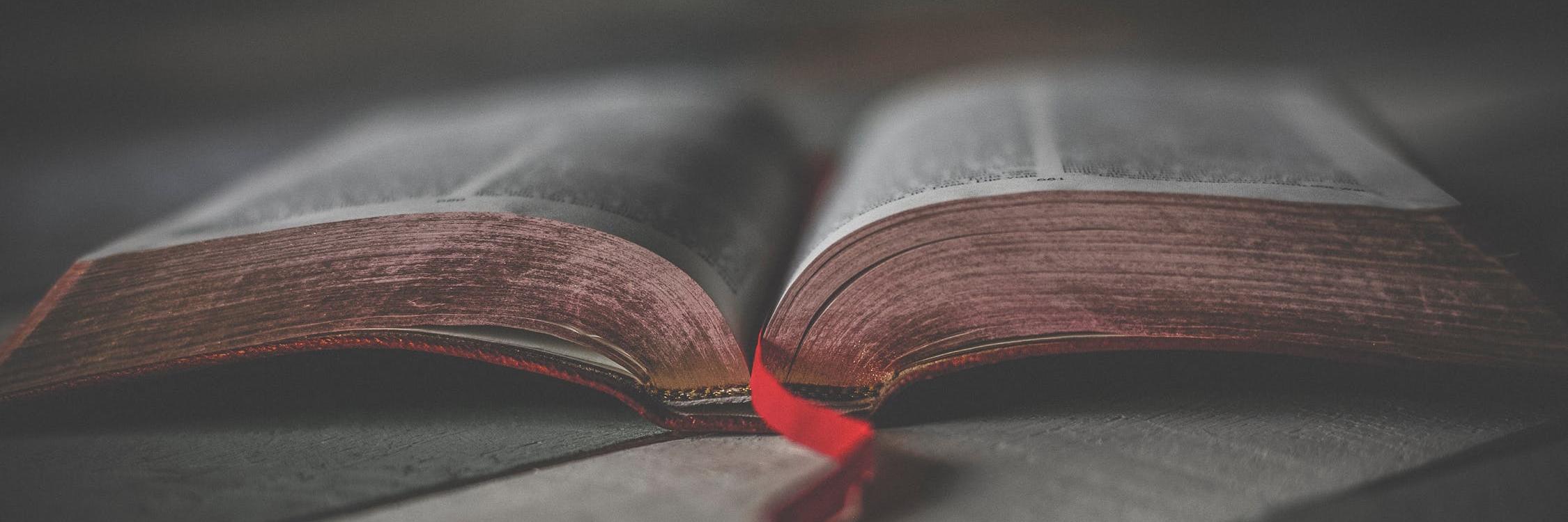 expositors_sem's profile banner image