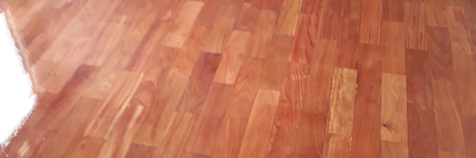 Luacaronte1's profile banner image