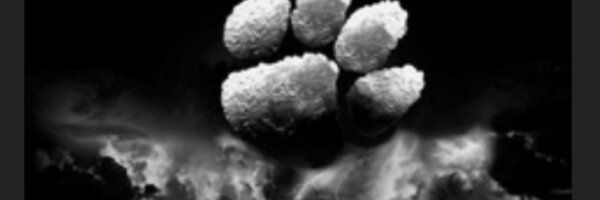 matthewstewart_ Profile Banner