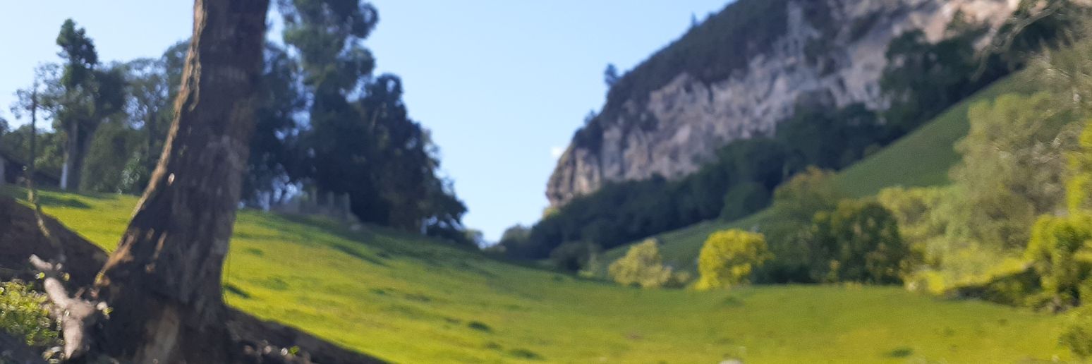 valengaEver's profile banner image