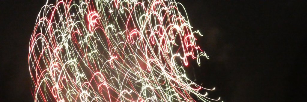 Martha Filipic banner