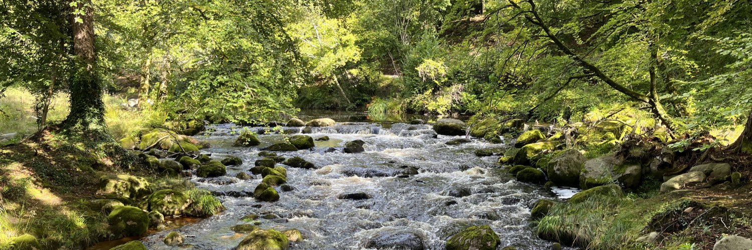 Barbara Campbell banner