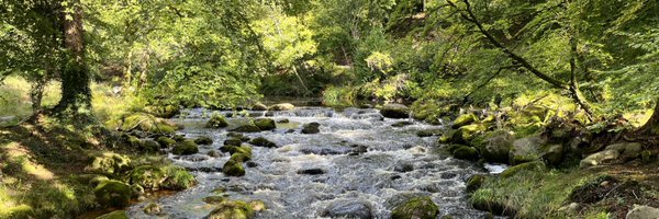 bcsocialwork Profile Banner