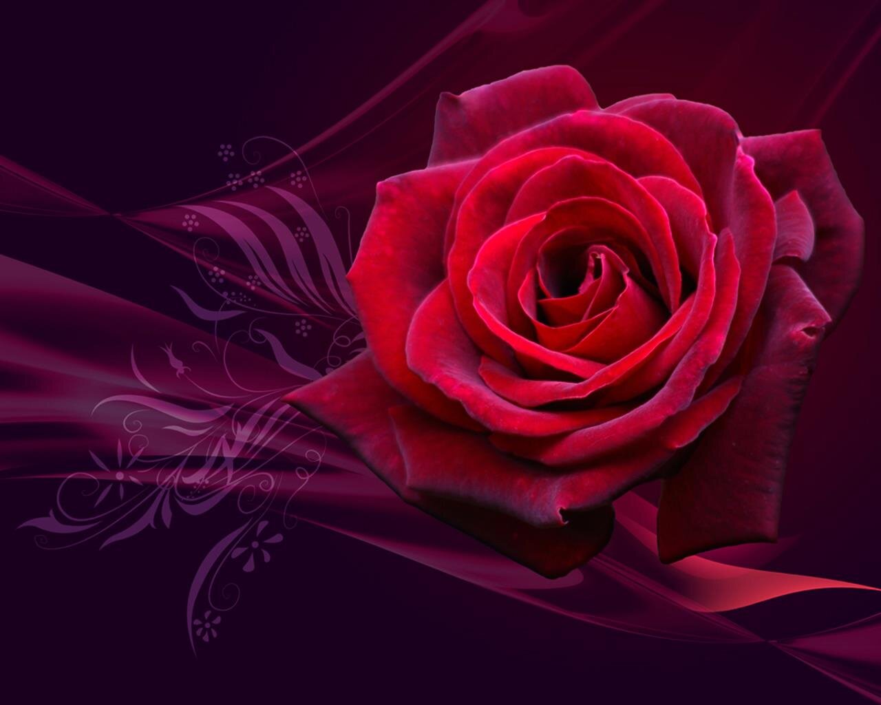 M1str3ssbella's profile banner image