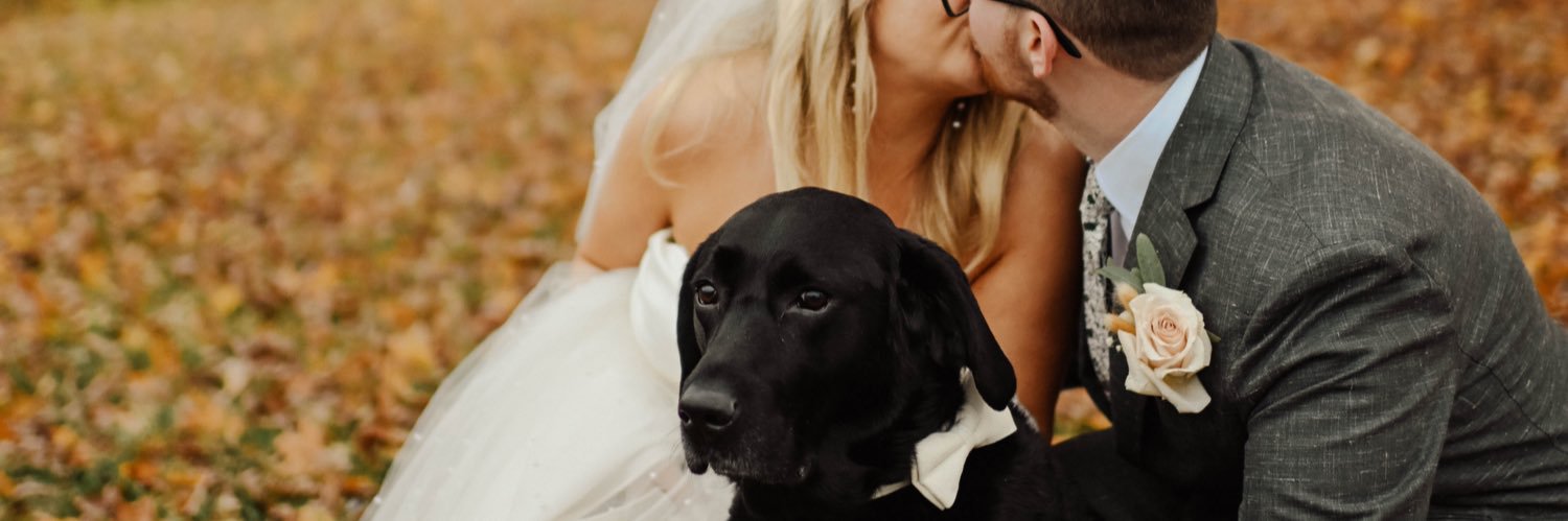gabijamess's profile banner image
