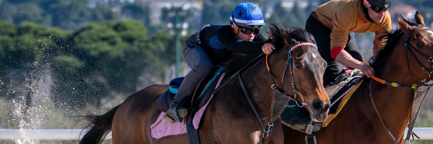 Daniela Rodriguez banner