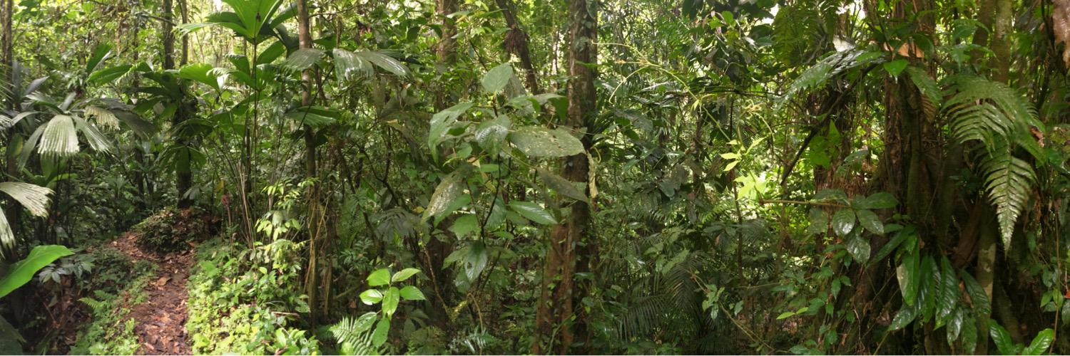 Mareike Janiak banner