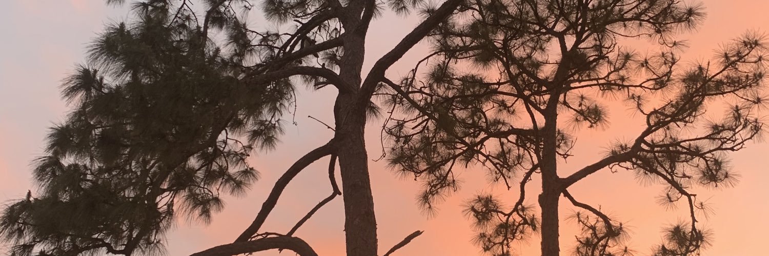 StephanieHosala's profile banner image