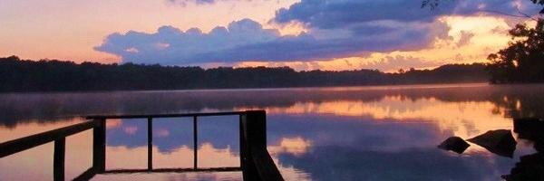 Sharky86's profile banner image