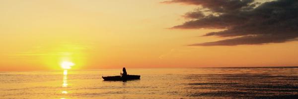 Alwine Profile Banner