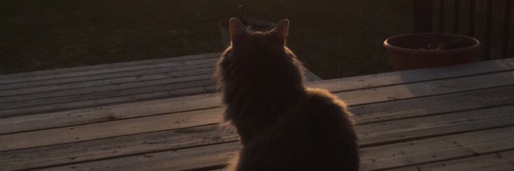 clhanson's profile banner image
