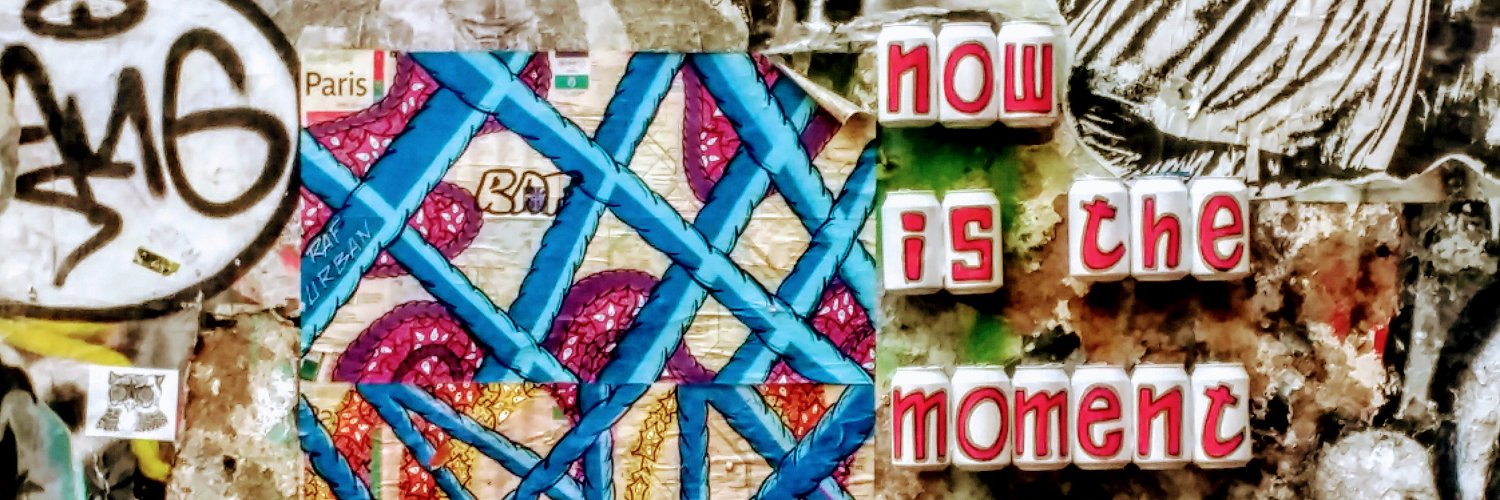 shari doherty's banner