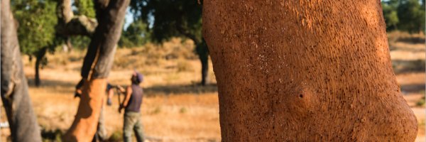 planeteliege Profile Banner