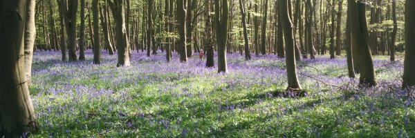 PatDWalter Profile Banner